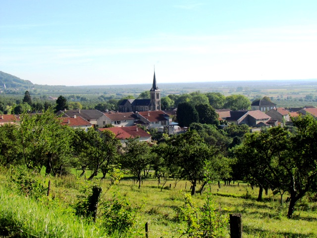 Mirabelles & the Beauty of the&nbsp;North