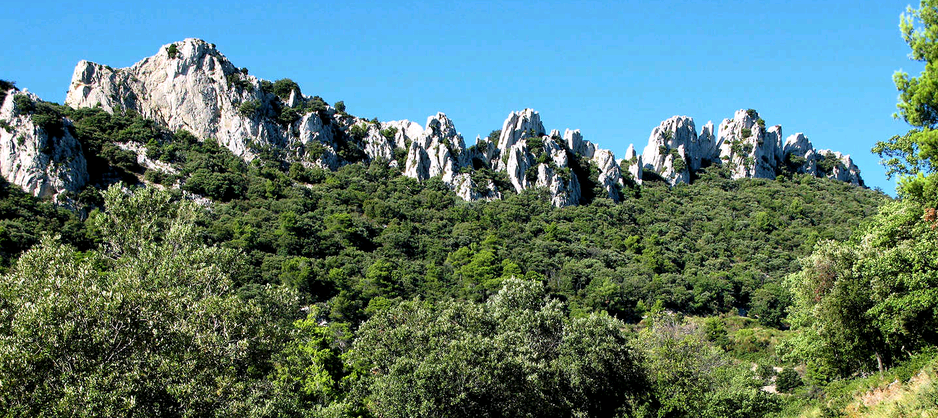 dentelles