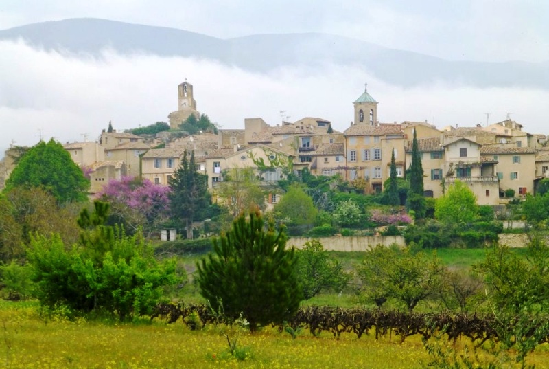 My Provence… An Interview with Caroline Longstaffe of Shutters &&nbsp;Sunflowers