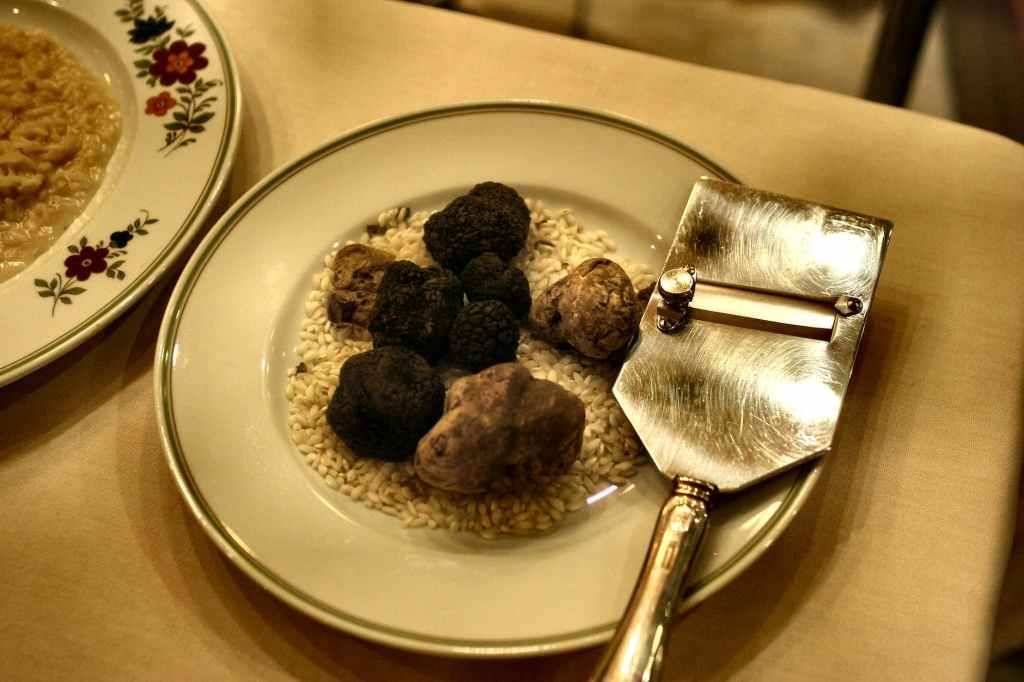 All about truffles… At La Maison de la Truffe in&nbsp;Aups